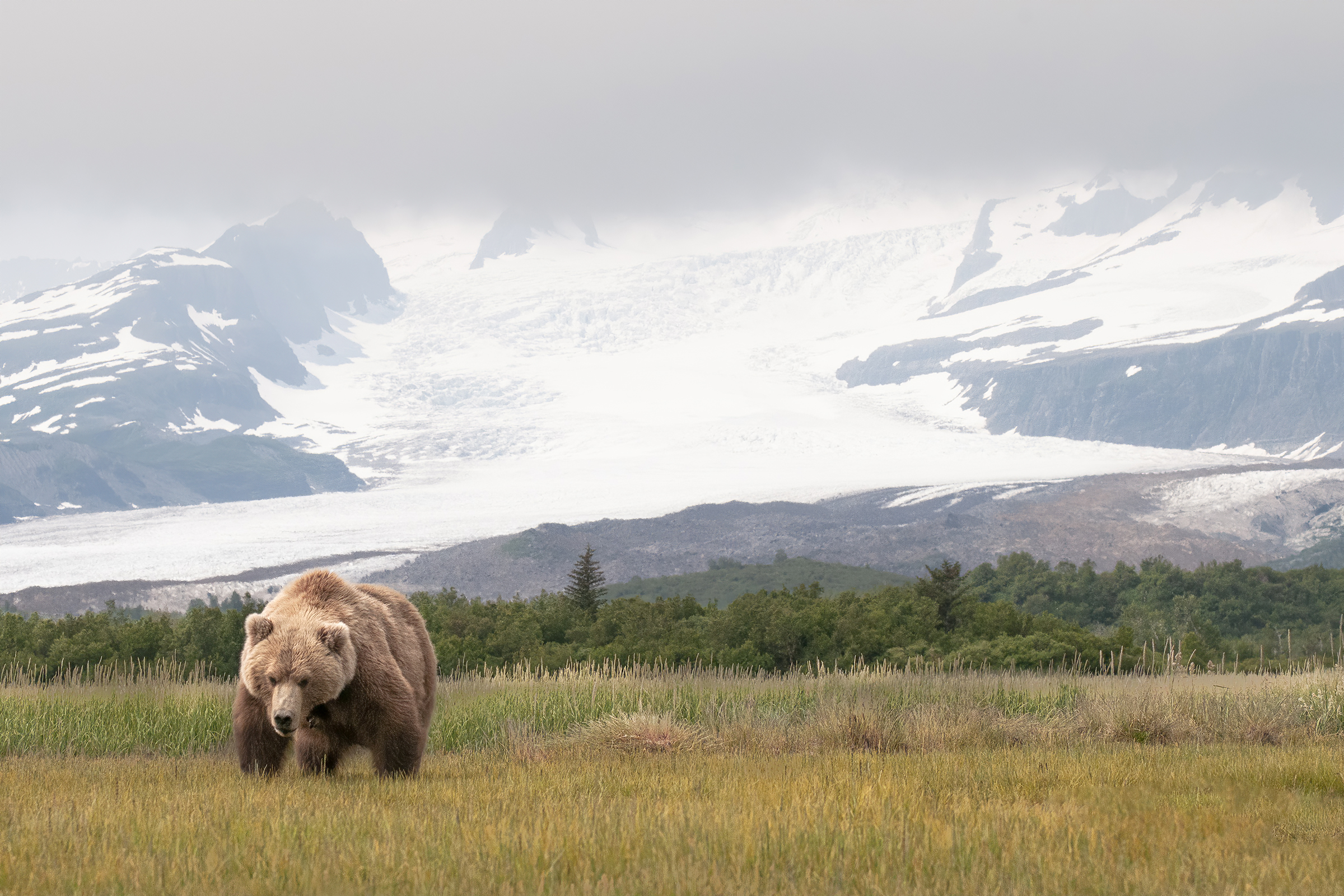 Hallo Glacier