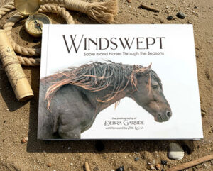WINDSWEPT: Sable Island Horses Through the Seasons