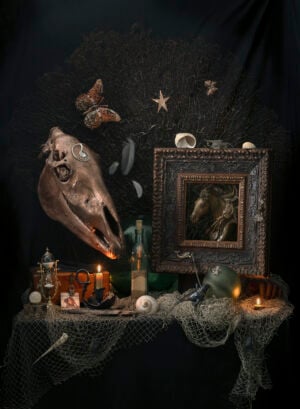 Sedna's Message