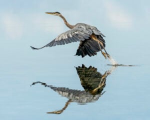 Reflexions