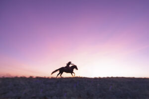 Cowgirl Up